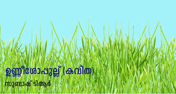 ഉണ്ണീശോപ്പുല്ല് (കവിത)