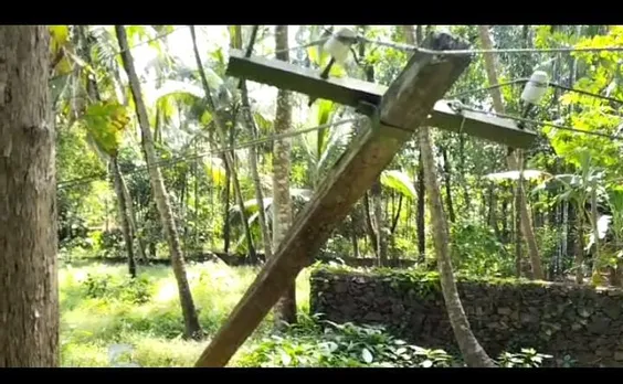 വടക്കാഞ്ചേരിയിൽ അതിശക്തമായ കാറ്റ്; വ്യാപക നാശനഷ്ടം