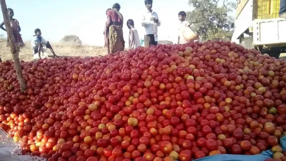 വില റോക്കറ്റു പോലെ; ചെന്നൈയില്‍ ഇന്നു മുതല്‍ റേഷന്‍ കടകള്‍ വഴി തക്കാളി, കിലോക്ക് 60 രൂപ
