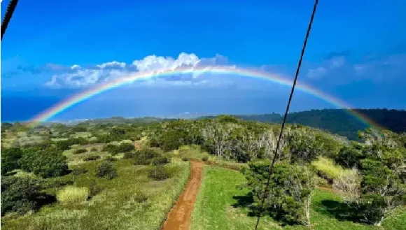 ഹവായിയിലെ ഏറ്റവും നീളമേറിയ തൂക്കുപാലം, മൗയി തീരപ്രദേശത്ത് നിന്ന് 1600 അടി ഉയരത്തിലേക്ക് ഒരു യാത്ര