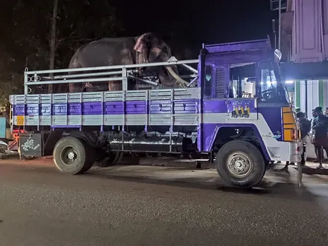 പാലക്കാട് ഉത്സവത്തിനിടെ ആനയിടഞ്ഞ് ഒരാൾക്ക് ദാരുണാന്ത്യം; നിരവധി പേർക്ക് പരിക്ക്