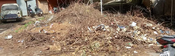 പാലക്കാട് സിവിൽ സ്റ്റേഷനിൽ മാലിന്യകൂമ്പാരം