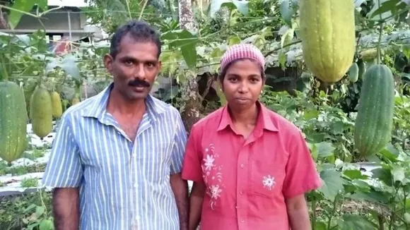 നൂറുമേനി നിറവിൽ "കർഷകതിലകം ബിൻസി ജെയിംസ്" !