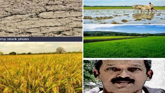 വയലും ഞാനും