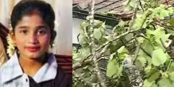 കാസർക്കോട് മരം വീണ് വിദ്യാർത്ഥിനി മരിച്ച സംഭവം; ബാലാവകാശ കമ്മീഷൻ സ്വമേധയാ കേസെടുത്തു