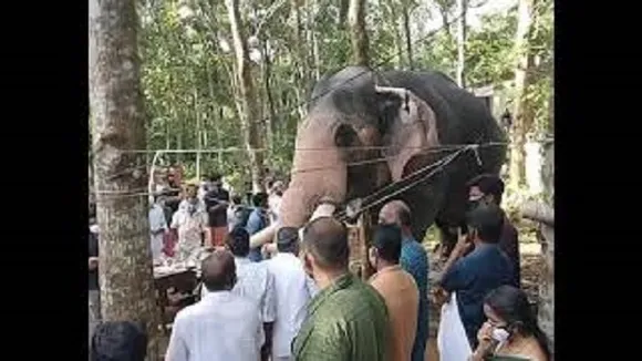 വിടപറഞ്ഞ പാപ്പാനെ ഒരു നോക്ക് കാണാന്‍ 'ബ്രഹ്‌മദത്തന്‍' എത്തി; അവസാനമായി ഓമനച്ചേട്ടന് തുമ്പിക്കൈ ചുഴറ്റി യാത്രാമൊഴിയും നല്‍കി-കണ്ണു നനയിക്കും ഈ വീഡിയോ
