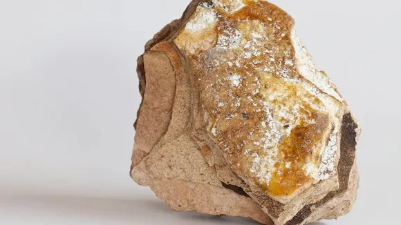 തിമിംഗില ഛർദ്ദിക്ക് 'പൊന്നുംവില' വരാൻ കാരണം ഇതാണ്