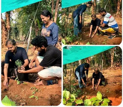 ലോക്ക്ഔട്ട് കാലത്തു വീട്ടുവളപ്പിൽ പച്ചക്കറികൾ നട്ട് കത്തോലിക്കാ കോൺഗ്രസ് പ്രസിഡന്റ് അഡ്വ. ബിജു പറയന്നിലം