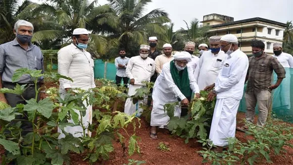 എംഐസി അഗ്രോ പാർക്കിൽ വിളവെടുപ്പ് നടത്തി