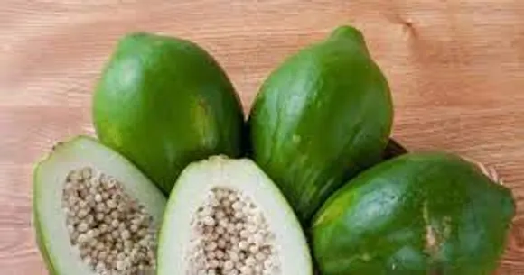 അറിയാം പച്ച പപ്പായയുടെ ആരോ​ഗ്യ ​ഗുണങ്ങൾ...