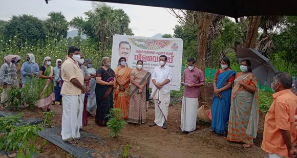 പല്ലശ്ശന ഗ്രാമപഞ്ചായത്ത് കൃഷിഭവന്റെ പരിധിയിൽ ഉൾപ്പെടുന്ന രണ്ട് ഏക്കർ വരുന്ന തരിശ്ശ് ഭൂമിയിലെ പച്ചക്കറി കൃഷിയുടെ വിളവെടുപ്പ് ഉത്ഘാടനം നെന്മാറ എംഎൽഎ കെ. ബാബു നിർവഹിച്ചു