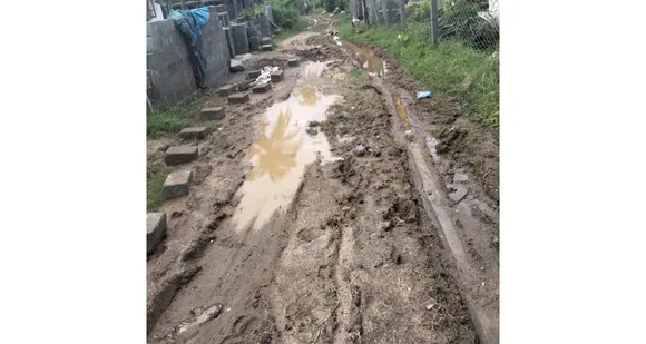 മഴക്കാലമായതോടെ ചെളിക്കുളമായി പുതുനഗരം പിലാത്തുർമേട് ദയാ നഗർ റോഡ്