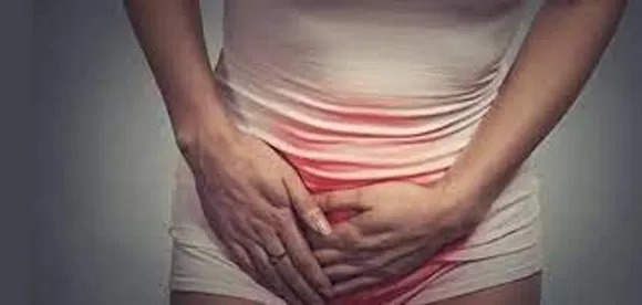 എന്താണ് 'വജൈനിസ്മസ്?; സെക്സിന് ഇടയിലെ വേദന 'നോര്‍മല്‍' ആയി കണക്കാക്കാമോ