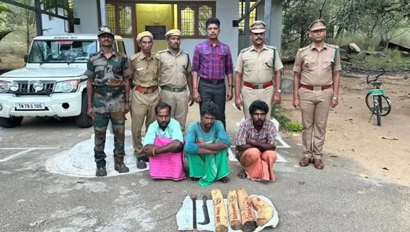 ചന്ദനക്കടത്ത്: കാന്തല്ലൂര്‍ സ്വദേശികള്‍ തമിഴ്‌നാട്ടില്‍ വനപാലകരുടെ പിടിയില്‍
