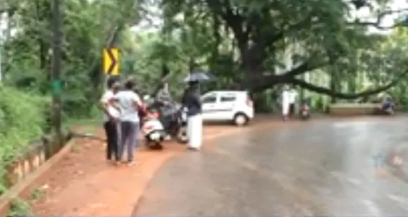 മാനിപുരം താമരശ്ശേരി റൂട്ടിലെ അണ്ടോണ വളവിൽ ഇനിയൊരു ജീവൻ പൊലിയരുത്; പരാതിയുമായി ഡിവൈഎഫ്ഐ