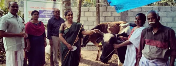 പട്ടികജാതി വനിതകൾക്കുള്ള കറവപ്പശുക്കളുടെ ജില്ലാ പഞ്ചായത്ത് അതിരമ്പുഴ ഡിവിഷൻ തല വിതരണോദ്ഘാടനം നിര്‍വഹിച്ചു