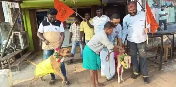 വാലന്റൈൻസ് ഡേ ദിനത്തിൽ നായ്ക്കളുടെ കല്യാണം നടത്തി ഹിന്ദു മുന്നണി