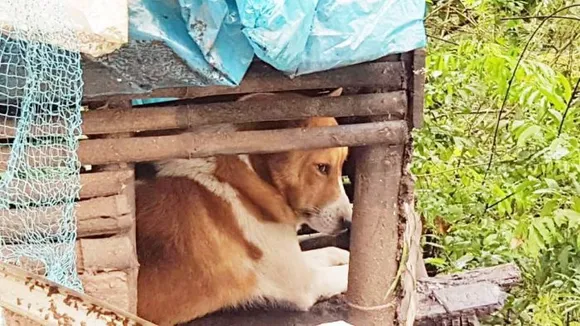 ഒരുവര്‍ഷത്തെ അലച്ചിലിന് ശേഷം 'ടുട്ടു' തിരിച്ചെത്തി...