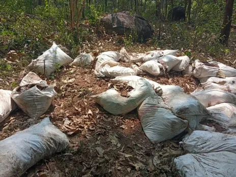 കൽച്ചാടിയിൽ കാട്ടാനയിറങ്ങി കാർഷിക വിളകൾ നശിപ്പിച്ചു