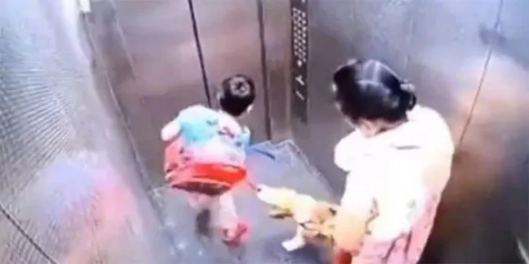 ഒപ്പം കൂട്ടിയ വളര്‍ത്തുനായ ലിഫ്റ്റില്‍ കയറിയ കുട്ടിയെ ചാടിക്കടിച്ചു, 5000 രൂപ പിഴ