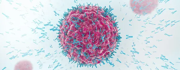 പാലാ മുത്തോലി ഗ്രാമപ്പഞ്ചായത്തിൽ നവവരൻ ഉൾപ്പെടെ 5 പേർക്ക്  കോവിഡ് സ്ഥിരീകരിച്ചു