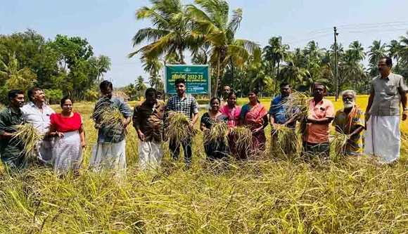 പാലക്കാടിന്റെ നെല്ലറക്ക് സുവിശേഷമായി കാകിശാല നെല്ലിനം