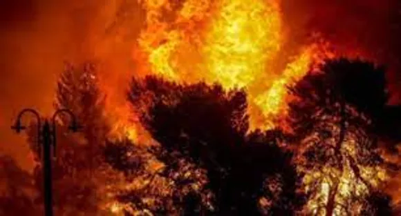 അൾജീരിയയിൽ കാട്ടുതീ പടരുന്നു;സൈനികരടക്കം ഇത് വരെ കാട്ടുതീയിൽപ്പെട്ട് മരിച്ചത് 38 പേർ.നിരവധി പേരെ മാറ്റി പാർപ്പിച്ചു