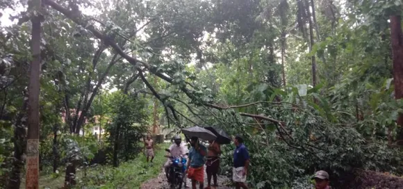 കുറവിലങ്ങാട് മേഖലയിൽ പ്രകൃതിക്ഷോഭ നാശനഷ്ടം: എം എൽ എ വിവിധ സ്ഥലങ്ങൾ സന്ദർശിച്ചു