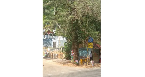 ഇന്നു ഞാൻ നാളെ നീ… പാലാ നെച്ചിപ്പുഴൂർ വായനശാല ജംഗ്ഷനിൽ തണലേകി നില്‍ക്കുന്ന പുളി മരത്തിന് അധികാരികളിൽ നിന്നും മരണവാറണ്ട് !