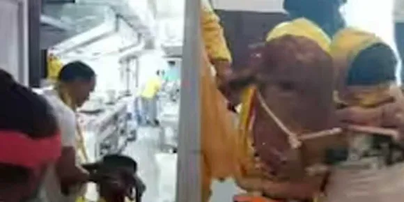 ഓർ​ഗാനിക് റസ്റ്റോറന്റ് ഉദ്ഘാടനം ചെയ്യാൻ വിശിഷ്ടാതിഥിയായി എത്തിയത് പശു; വൈറലായി വീഡിയോ