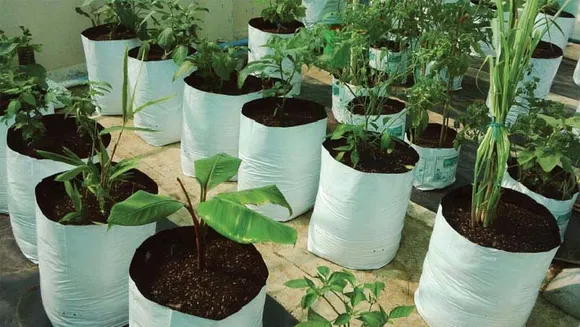 ചട്ടിയിലും ഗ്രോ ബാഗിലും മണ്ണ് നിറക്കേണ്ടതിങ്ങനെ....