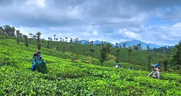 നെല്ലിയാമ്പതി തോട്ടം മേഖലയിൽ സ്ത്രീകൾക്ക് നേരെ അതിക്രമങ്ങൾ വർധിക്കുന്നതായി പരാതി