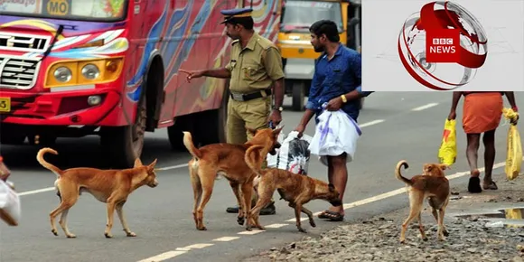 കേരളത്തിലെ തെരുവുനായ ശല്യം അന്താരാഷ്ട്ര മാധ്യമമായ ബിബിസിയിലും ചർച്ച: സംസ്ഥാന സർക്കാരുകളുടെ നടപടി ആവശ്യപ്പെട്ടുള്ള ഹർജി ഇന്ന് സുപ്രിം കോടതി പരിഗണിക്കും