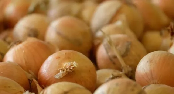 കൊവിഡിന് പിന്നാലെ യുഎസിനെ ഭീതിയിലാഴ്ത്തി 'സാല്‍മൊണെല്ല'! വിവിധ സംസ്ഥാനങ്ങളിലായി രോഗം ബാധിച്ചത് അറുനൂറിലേറെ പേര്‍ക്ക്! ഇവിടെ വില്ലന്‍ ഉള്ളി