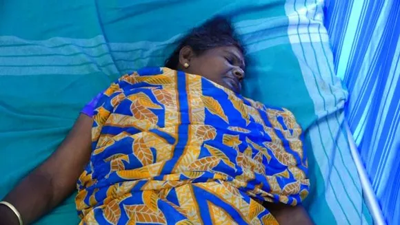 അടിമാലിയിൽ മ്ലാവിന്റെ ആക്രമണത്തില്‍ തോട്ടം തൊഴിലാളിയായ സ്ത്രീക്ക് ഗുരുതര പരിക്ക്