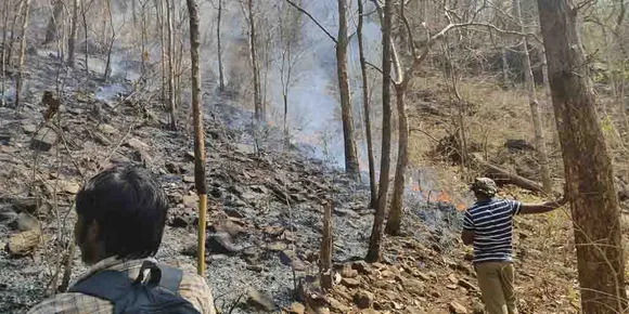 നെന്മാറ വനം ഡിവിഷനിലെ വിവിധ വനമേഖലകളില്‍ തുടർച്ചയായി മൂന്നാം ദിവസവും കാട്ടുതീ പടരുന്നു