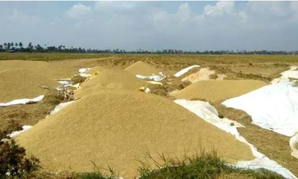 ഒന്നാംവിള നെല്ലെടുക്കാന്‍ പാലക്കാട് ജില്ലയില്‍ ആറ് മില്ലുകളെ ചുമതലപ്പെടുത്തി