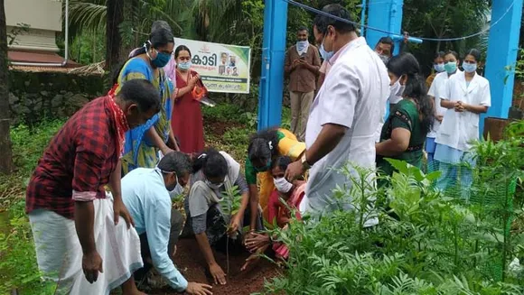 ഒരു കോടി ഫല വൃക്ഷ തൈകൾ വിതരണം.വൃക്ഷവത്ക്കരണ പരിപാടികളുമായി ജൂൺ മാസം