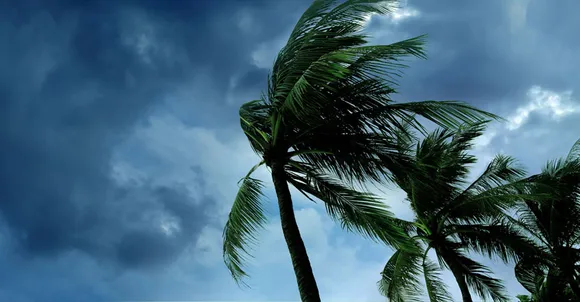 കാലവര്‍ഷം ശക്തിപ്പെടുന്നു: ഭൂതത്താന്‍കെട്ട് ഷട്ടറുകള്‍ തുറക്കും: പെരിയാറില്‍ ജലനിരപ്പ് ഉയരാന്‍ സാധ്യതയുള്ളതിനാല്‍ ഇരുകരകളിലുമുള്ളവര്‍ ജാഗ്രത പുലര്‍ത്തണമെന്നും മുന്നറിയിപ്പ്