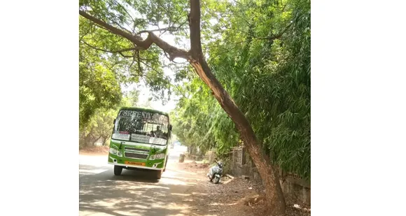മലമ്പുഴ ഉദ്യാനത്തിലേക്കുള്ള പ്രധാന റോഡരുകിൽ അപകടകരമായി ചെരിഞ്ഞു നിൽന്ന മരo യാത്രക്കാര്‍ക്ക് ഭീഷണിയാകുന്നു