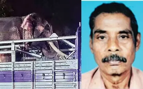 പാലക്കാട് ഉത്സവത്തിനിടെ ആന ഇടഞ്ഞ് ഒരാള്‍ മരിച്ചു; 15 പേര്‍ക്ക് പരിക്ക്