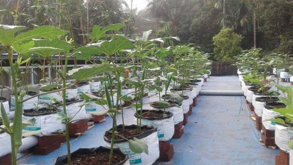 അറിയാം.. വീട്ടില്‍ കൃഷി ചെയ്യുമ്പോള്‍ ശ്രദ്ധിക്കേണ്ട കാര്യങ്ങള്‍