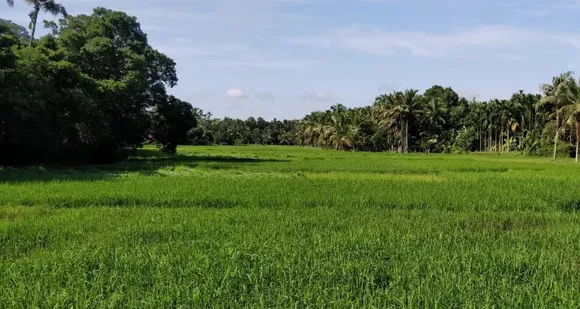 ഈ പോക്ക് പോയാല്‍ നമ്മുടെ നാടിന്‍റെ അവസ്ഥ ഗ്രീസും പോര്‍ട്ടുഗലും സ്പെയിനുമൊക്കെ പോലെയാകും. ഒപ്പം ഹിന്ദു-മുസ്ലിം-കൃസ്ത്യന്‍ വേര്‍തിരിവും രൂക്ഷമാകും. ലോകത്തിന്‍റെ യാഥാര്‍ഥ്യങ്ങള്‍ പുതുതലമുറ മനസിലാക്കിയാല്‍ നാട് രക്ഷപെടും - ദാസനും വിജയനും എഴുതുന്നു