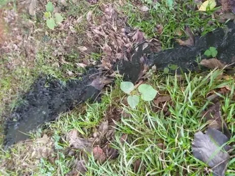 നെടിയശാല വാഴപ്പിള്ളിയിൽ കക്കൂസ് മാലിന്യങ്ങൾ തള്ളി