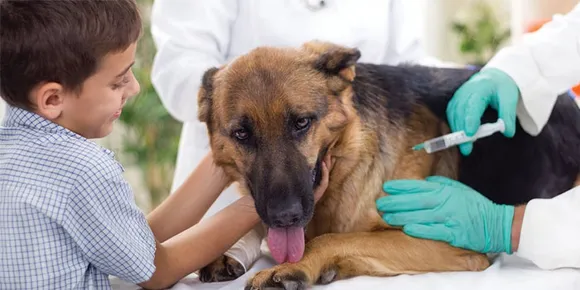 ചാത്തന്നൂർ ഗ്രാമപഞ്ചായത്തിന്റെ ആഭിമുഖ്യത്തിൽ വളർത്തു നായ്ക്കൾക്കുള്ള വാക്സിനേഷൻ ക്യാമ്പ് നാളെ