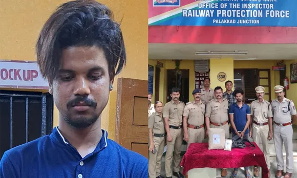 കഞ്ചാവ് കടത്തിൽ ഒറീസ്സ സ്വദേശി പാലക്കാട് അറസ്റ്റിൽ