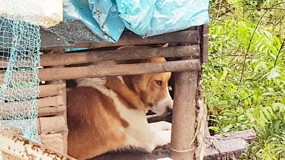 പ്രളയമൊലിച്ചുപോയെങ്കിലും സ്‌നേഹ പ്രളയം നിലക്കുന്നില്ല...!!