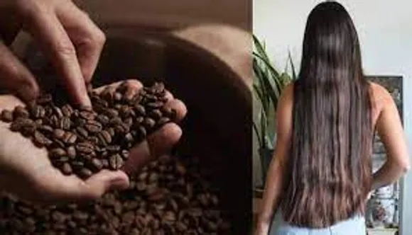 മുടി കൊഴിച്ചിൽ തടയാൻ കോഫി കൊണ്ടുള്ള ചില  ഹെയർ പാക്കുകളെ പരിചയപ്പെടാം...