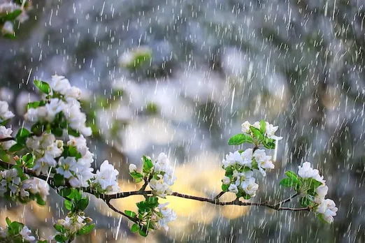 ചക്രവാതച്ചുഴി ചുഴലിക്കാറ്റാകും; സംസ്ഥാനത്ത് 10 ജില്ലകളിൽ ഇന്ന്  ശക്തമായ മഴയ്ക്ക് സാധ്യത