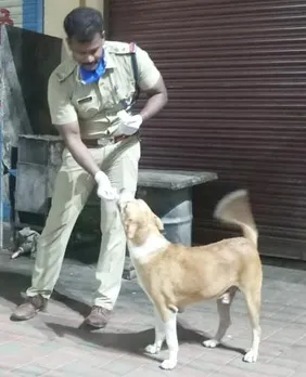 ലോക് ഡൗൺ കാലത്ത്  പട്ടിണിയിലായ തെരുവുനായ്ക്കള്‍ക്ക് ഭക്ഷണവുമായി എസ്‌ ഐ